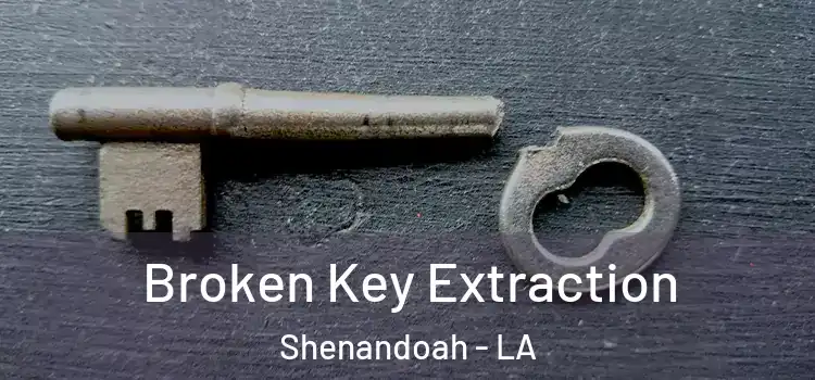 Broken Key Extraction Shenandoah - LA