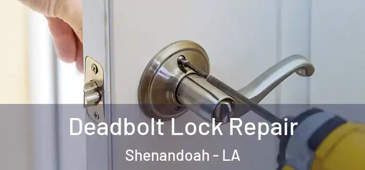  Deadbolt Lock Repair Shenandoah - LA