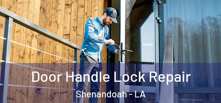 Door Handle Lock Repair Shenandoah - LA