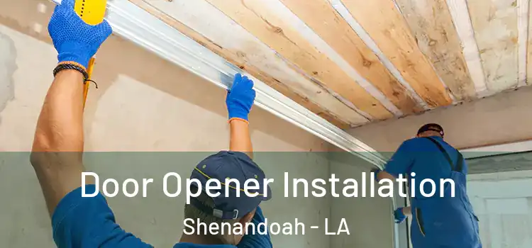  Door Opener Installation Shenandoah - LA