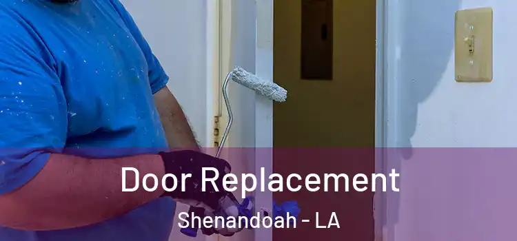 Door Replacement Shenandoah - LA