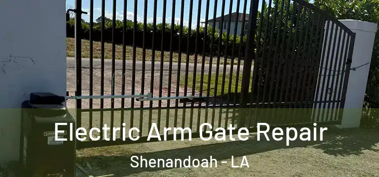  Electric Arm Gate Repair Shenandoah - LA