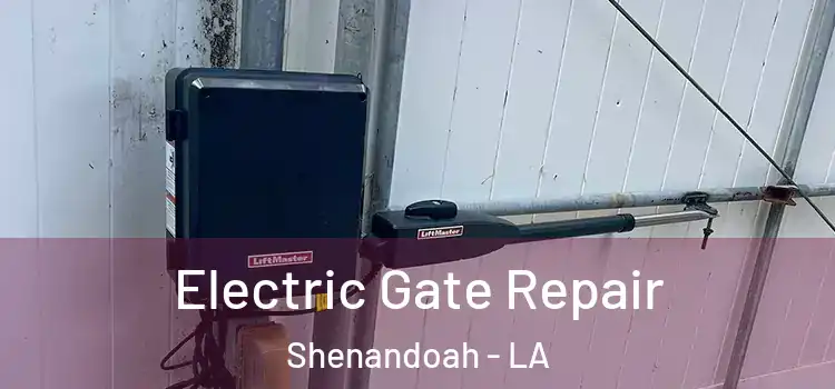 Electric Gate Repair Shenandoah - LA