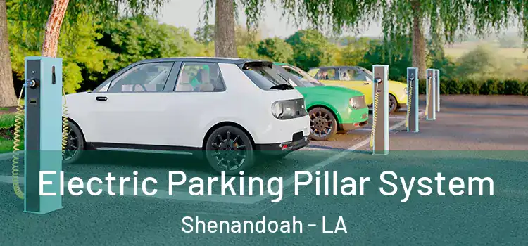  Electric Parking Pillar System Shenandoah - LA