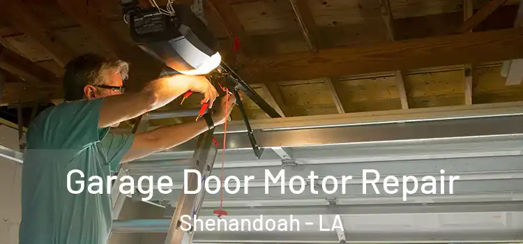  Garage Door Motor Repair Shenandoah - LA