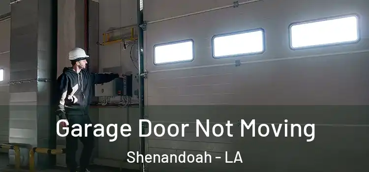  Garage Door Not Moving Shenandoah - LA