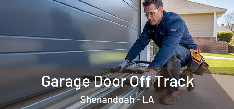  Garage Door Off Track Shenandoah - LA
