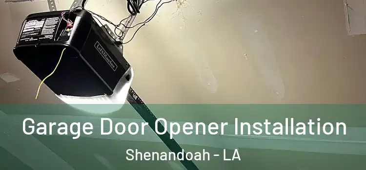  Garage Door Opener Installation Shenandoah - LA