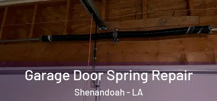  Garage Door Spring Repair Shenandoah - LA