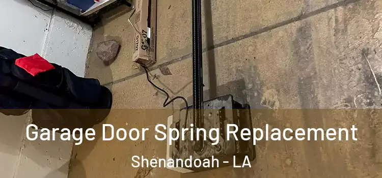  Garage Door Spring Replacement Shenandoah - LA