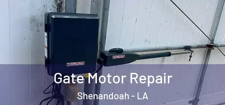  Gate Motor Repair Shenandoah - LA