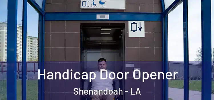  Handicap Door Opener Shenandoah - LA