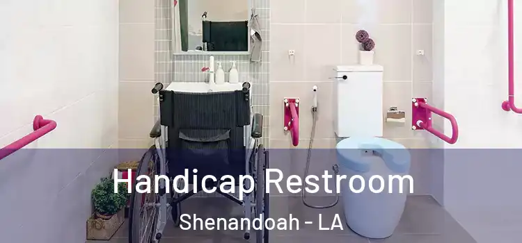  Handicap Restroom Shenandoah - LA