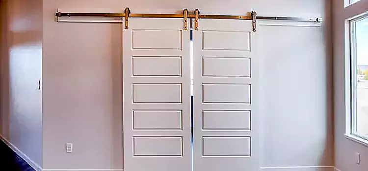 Glass Barn Door with Installation Hardware Kit Shenandoah
