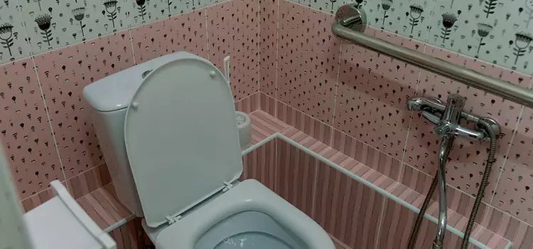 Meeting Diverse Needs With Accessible Restroom Solutions in Shenandoah, LA