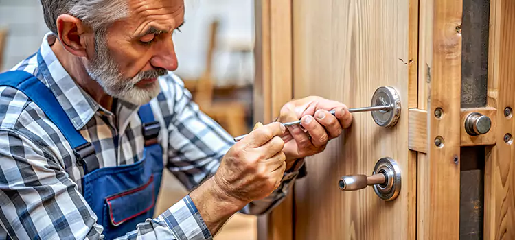 Mortise Replacement Lock Shenandoah