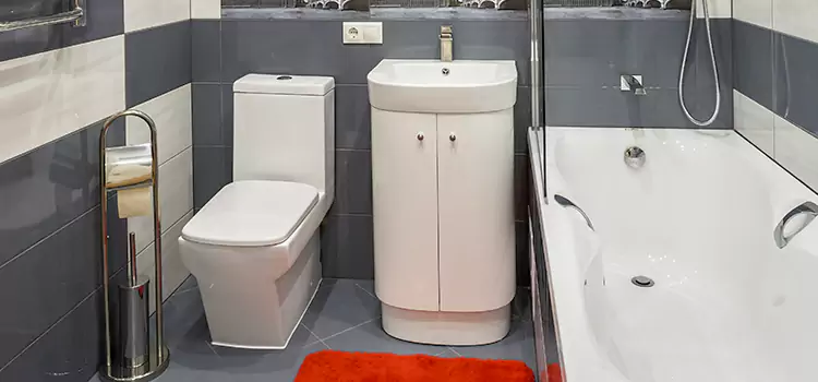 Hansgrohe Shaving Mirror Shenandoah