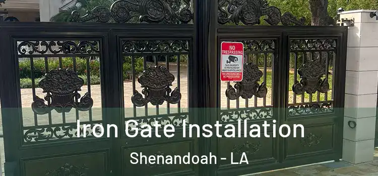 Iron Gate Installation Shenandoah - LA