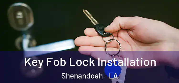  Key Fob Lock Installation Shenandoah - LA