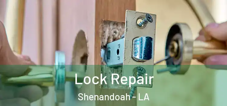  Lock Repair Shenandoah - LA