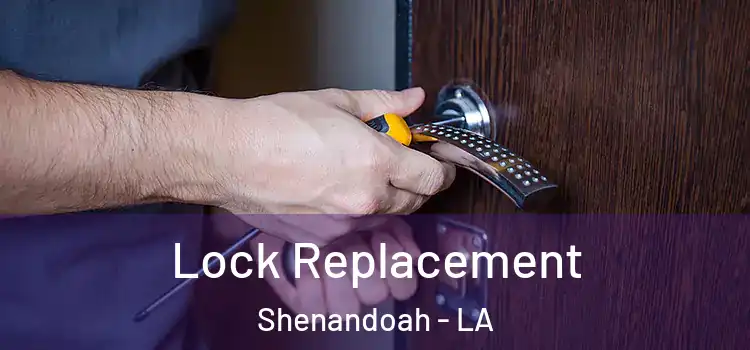 Lock Replacement Shenandoah - LA