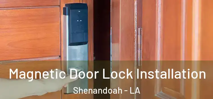  Magnetic Door Lock Installation Shenandoah - LA