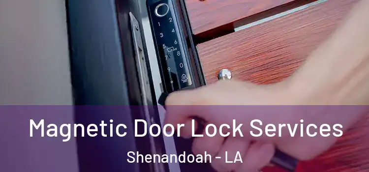 Magnetic Door Lock Services Shenandoah - LA