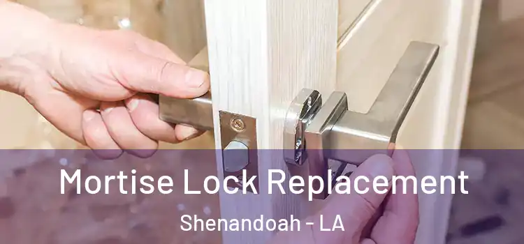 Mortise Lock Replacement Shenandoah - LA