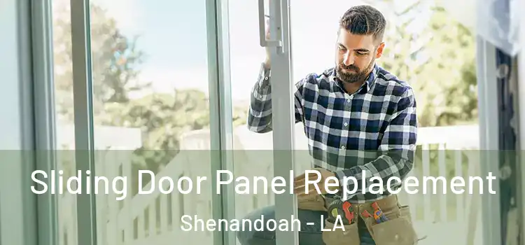  Sliding Door Panel Replacement Shenandoah - LA