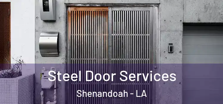  Steel Door Services Shenandoah - LA